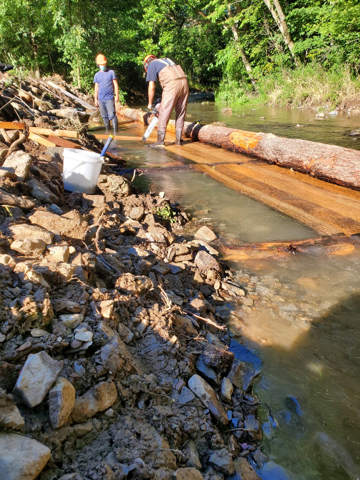 Stream And Riparian Buffer Restoration The Trust For Tomorrow